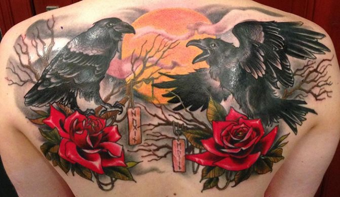 Hugin og Munin-tatovering. Betydning, skitser på ryg, skulder, nakke, arm