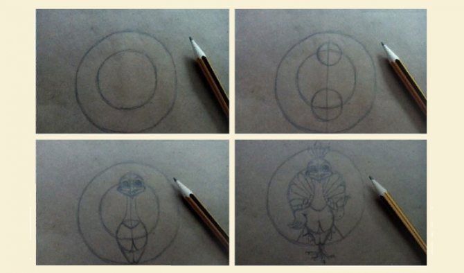 Instruções sobre como desenhar um pavão