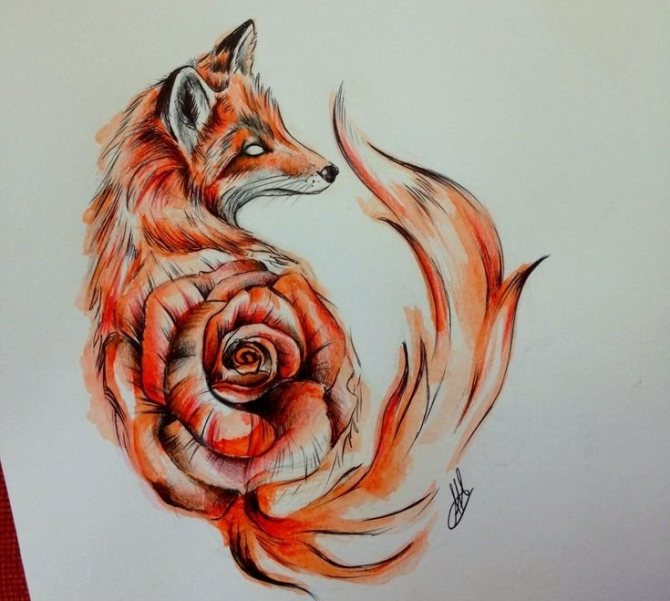 Interessante esboço de tatuagem de raposa e rosa
