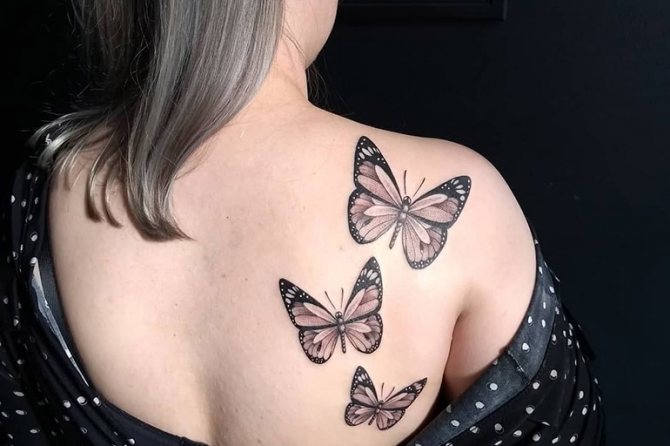 Henna motýľ obrázky