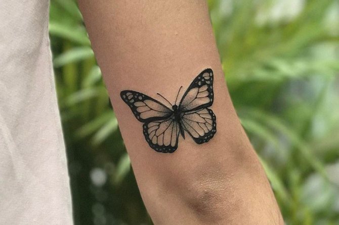 Изображения на пеперуда Henna