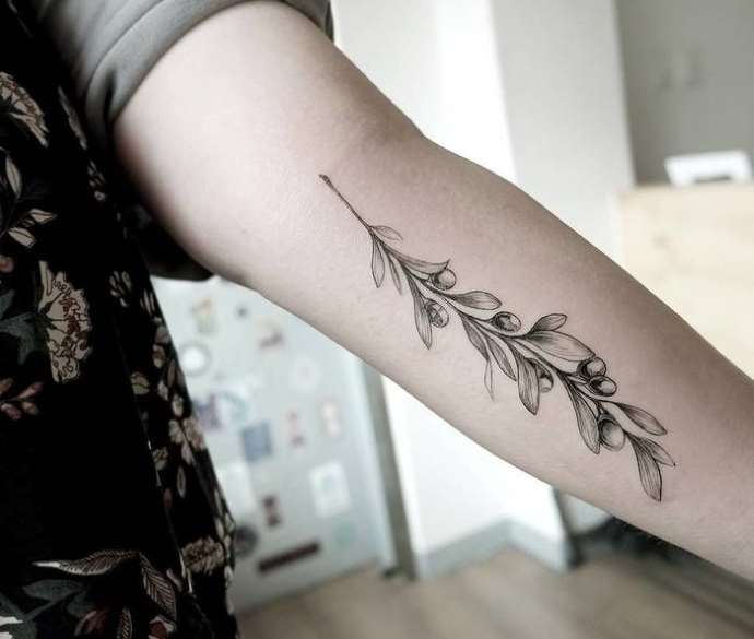 delicate olijftak tattoo