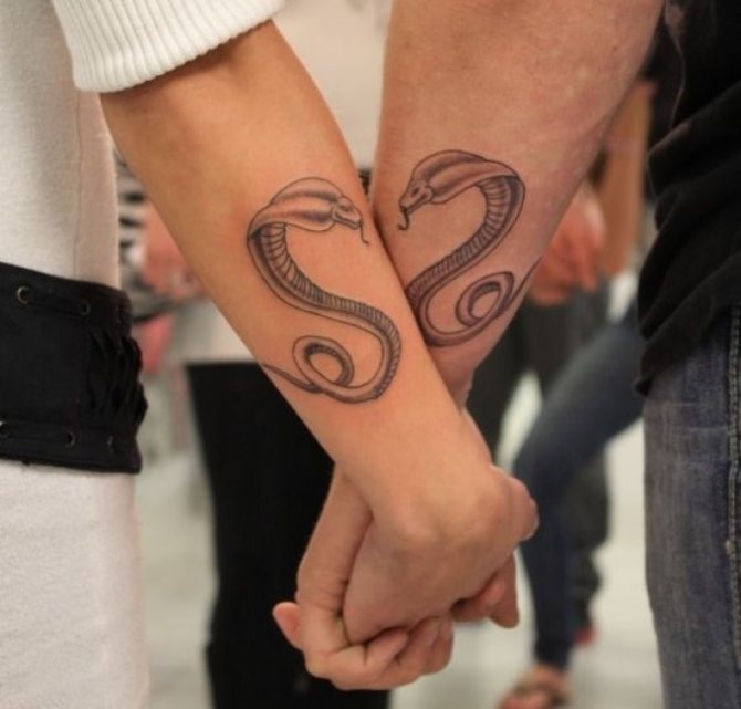 Tatuaggio elegante del serpente accoppiato