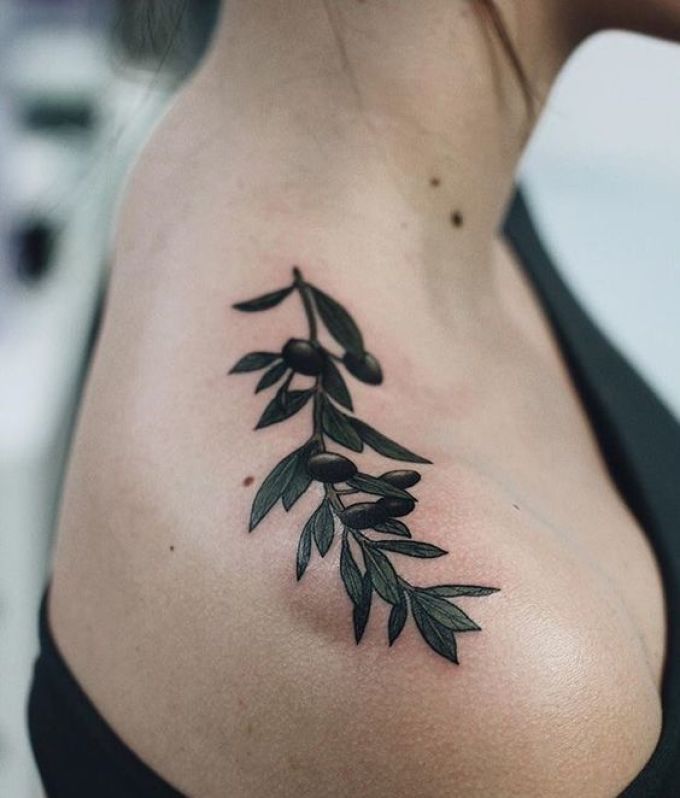 Tatuagem curvada em forma de ramo de oliveira