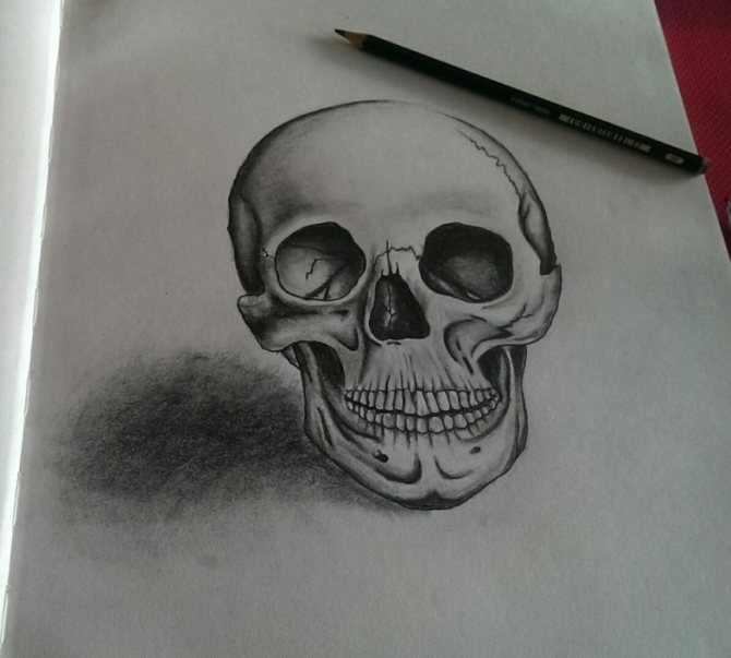 Como desenhar o crânio
