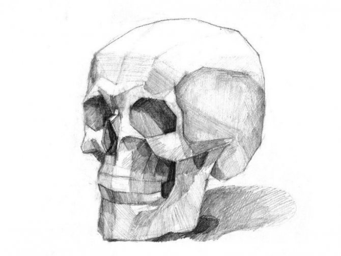 Hoe teken je een schedel?