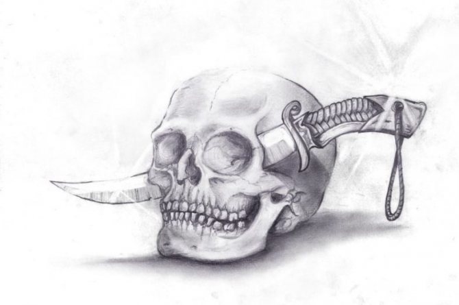 頭蓋骨の描き方
