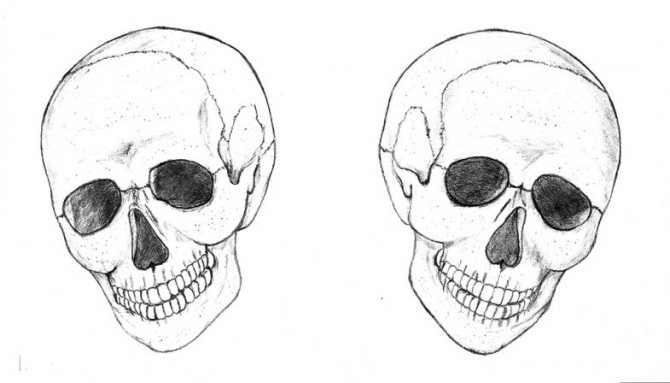 Comment dessiner un crâne
