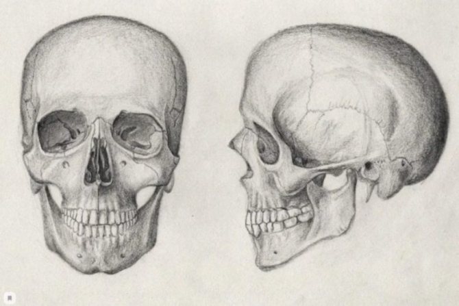 Jak narysować czaszkę