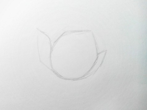 如何用铅笔画出一朵花？循序渐进的课程。第2步：铅笔画像 - Fenlin.ru