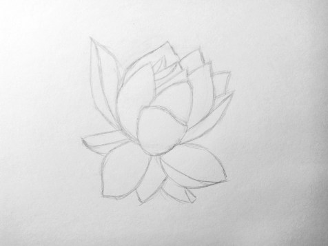 Hvordan tegner man en blomst med blyant? En trin for trin-lektion. Trin 6. Blyantportrætter - Fenlin.ru