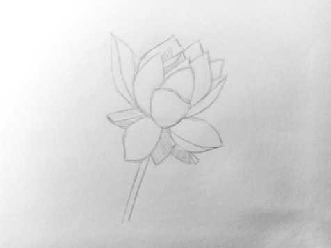 Hoe teken je een bloem met een potlood? Stap voor stap les. Stap 8. Potlood portretten - Fenlin.ru