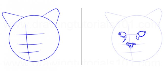 Cum de a desena o pisică