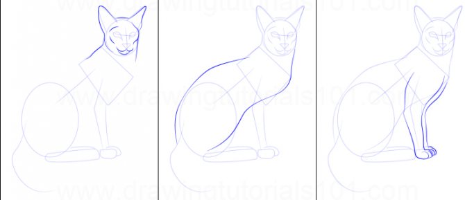 Hoe teken je een kat