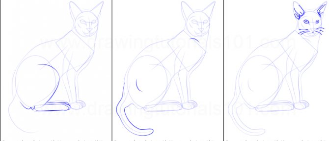 Kaip nupiešti katę
