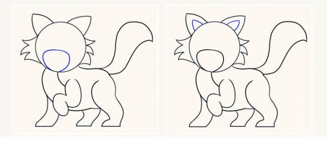 Kuidas joonistada kassi