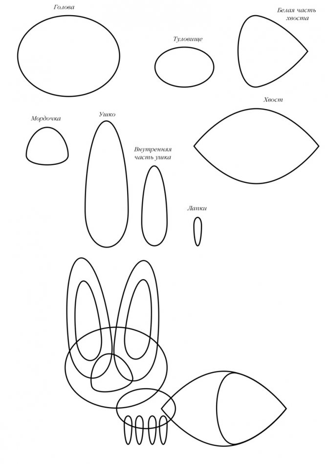 Ako nakresliť líšku
