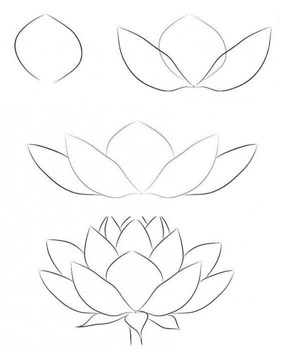 ako nakresliť lotos vo fázach