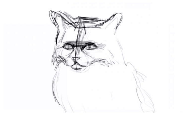 Как да нарисуваме пухкава котка