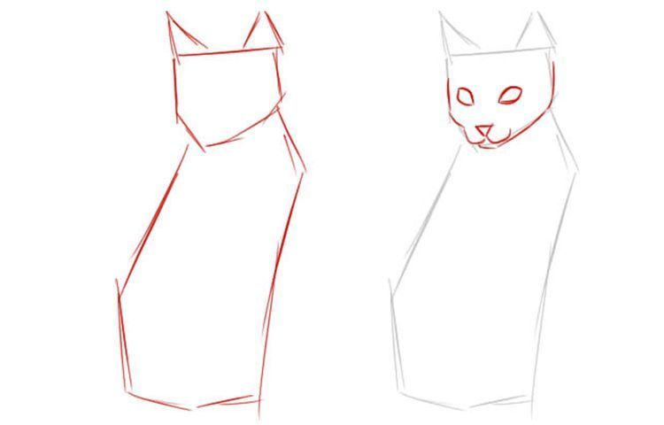 Hogyan rajzoljunk egy ülő macskát teljes méretben