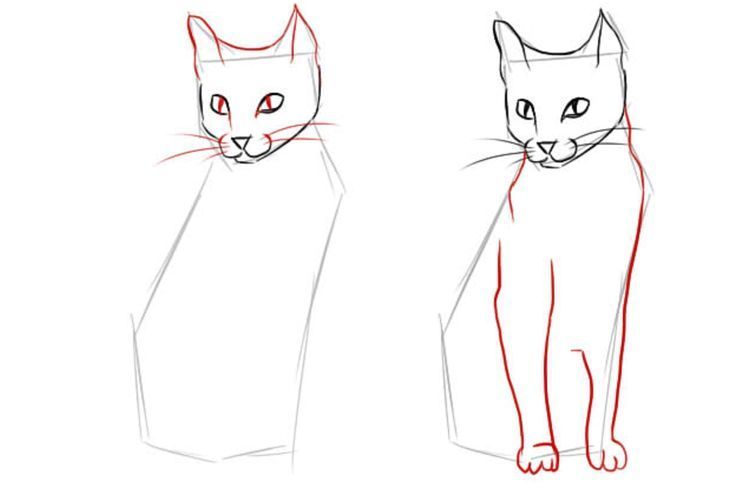 Sådan tegner du en siddende kat i fuld størrelse