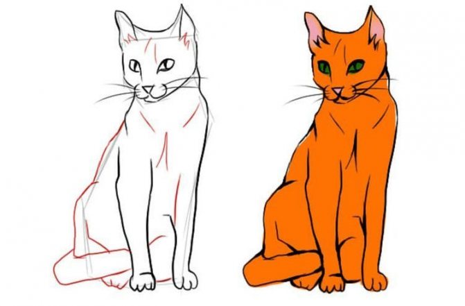 Как да нарисуваме седяща котка в пълен размер