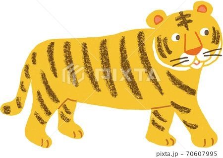 как да нарисуваме дебел тигър