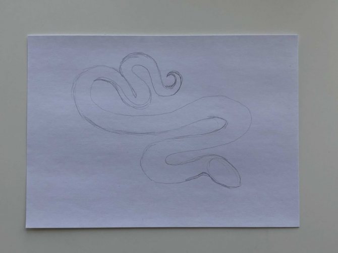 Πώς να σχεδιάσετε ένα φίδι με μολύβι - Ένα απλό φίδι στο 1ο βήμα - φωτογραφία