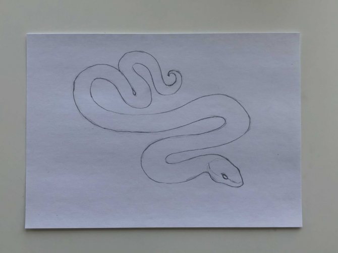 Hvordan man tegner en slange med en blyant i en trinvis tegning - simpel slange - 2. fase - foto