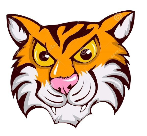hogyan kell rajzolni egy ragadozó tigrist.