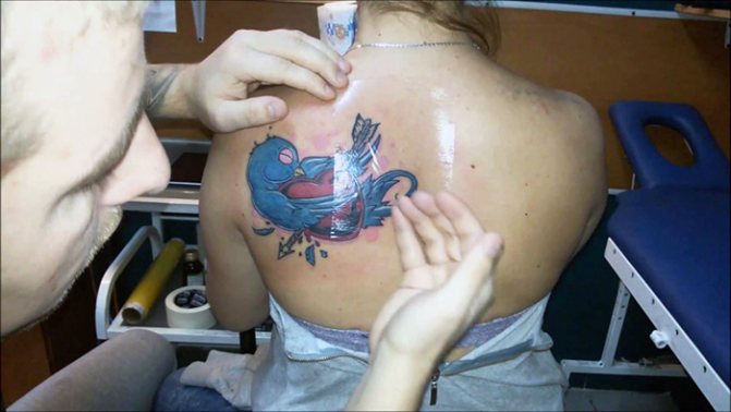 Ako sa odlupuje šupka na tetovaní. Liečenie tetovania cez deň, foto