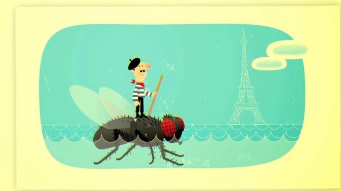 imagine cu un francez pe o muscă
