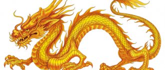 中国の龍-中国のシンボル