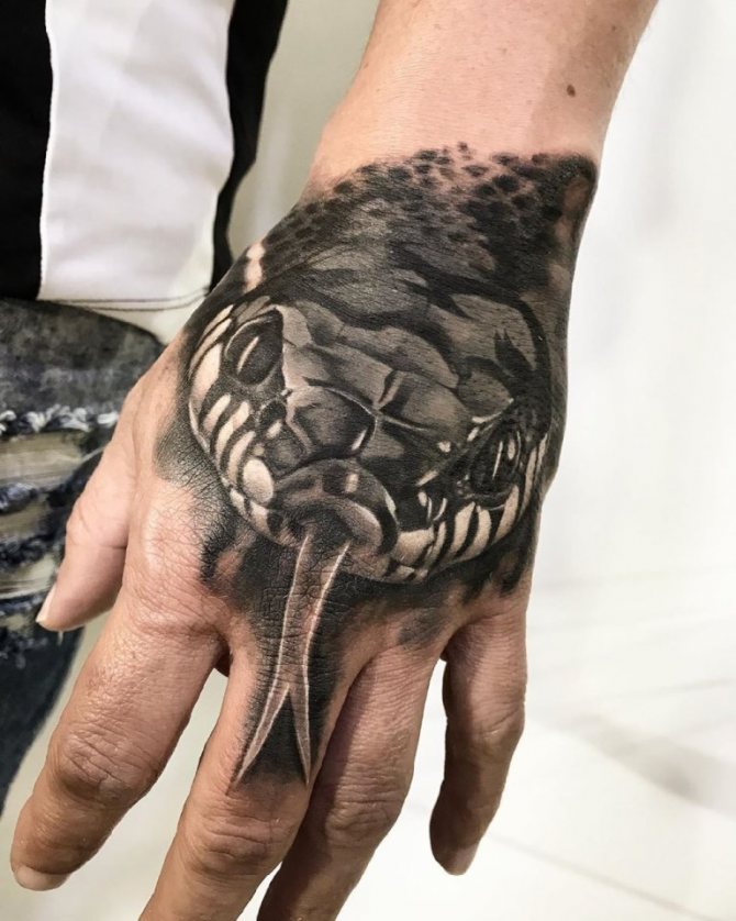 kobra tetoválás vázlat