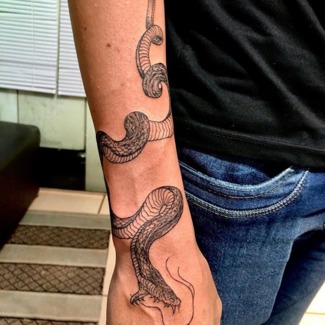 tetovanie kobry