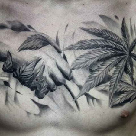 Tatuaż z konopi na klatce piersiowej