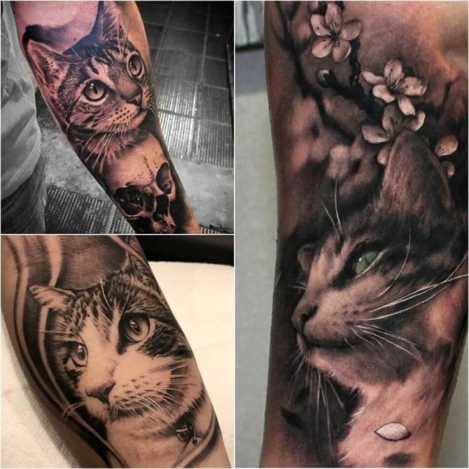 Realistyczny tatuaż kota,3