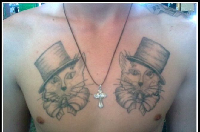 Tetovanie mačky pre zlodeja by malo mať luk a klobúk