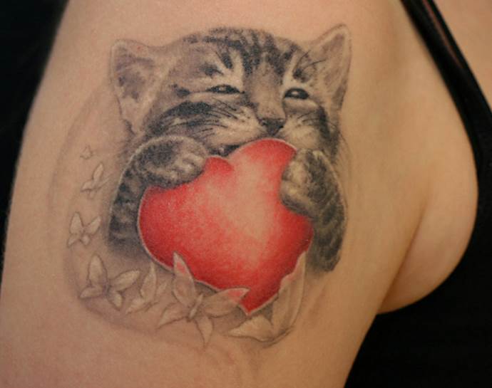 γατάκι και μια καρδιά