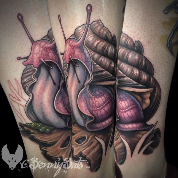 Egy gyönyörű nagy csiga egy tetoválásban