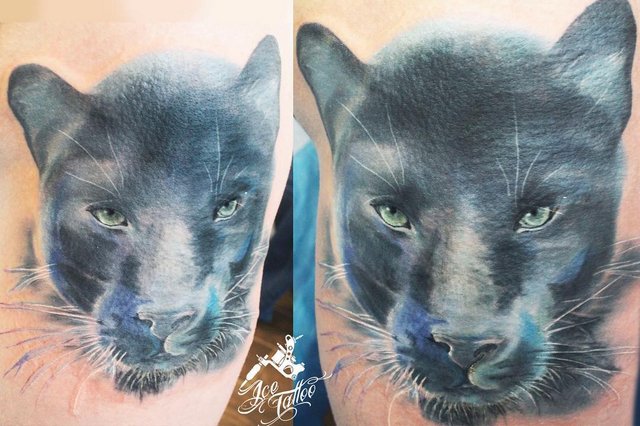 Bela tatuagem colorida da cabeça da pantera