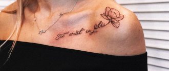 Krásna veta vo francúzštine pre tetovanie dievčaťa, chlap