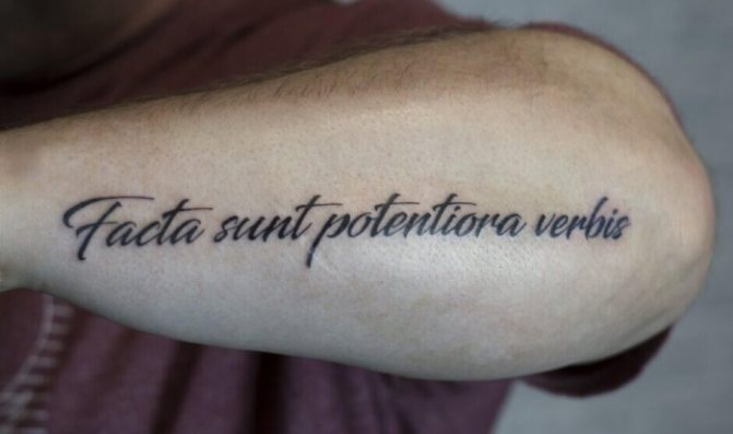 Frases engraçadas em espanhol para tatuagem