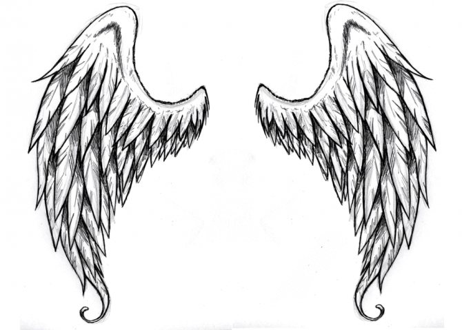 Ангелски крила - ekiz