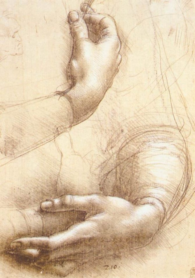 Leonardo da Vinci - Rankų eskizas