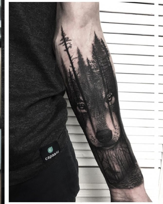 tatouage de forêt