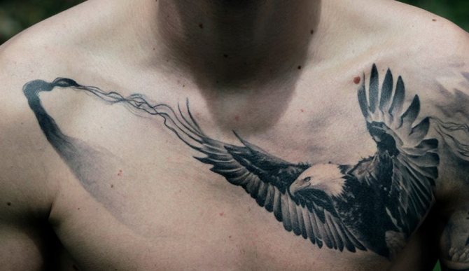 Vultur zburător pe tatuaj