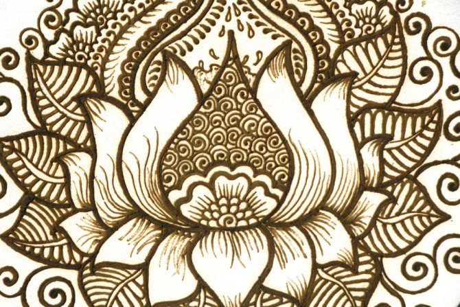 Lotus este un talisman norocos