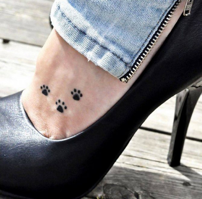 Un piccolo tatuaggio a forma di zampa di gatto sulla sua gamba