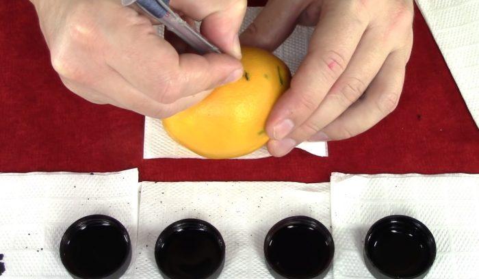 A máquina é testada com um limão